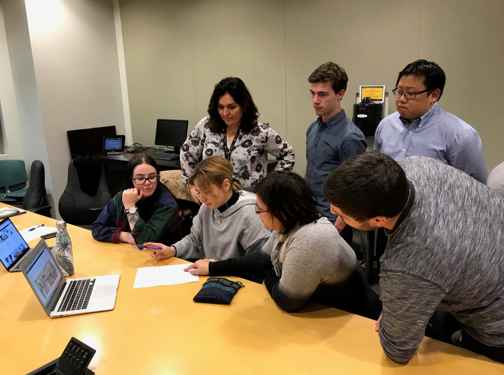 Maple Drapery &&nbsp;Carpet