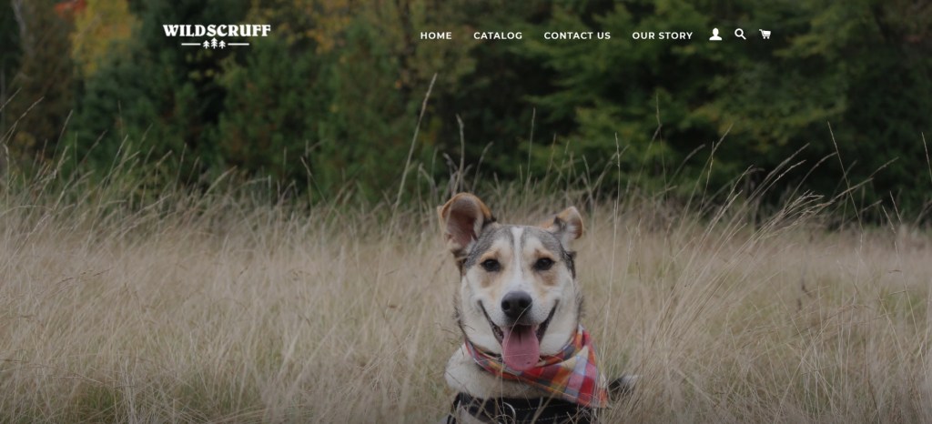 Blogging for Wild&nbsp;Scruff